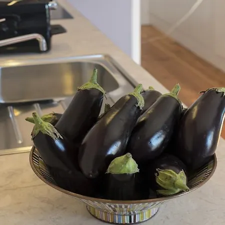 Flattered To Be In Tomar